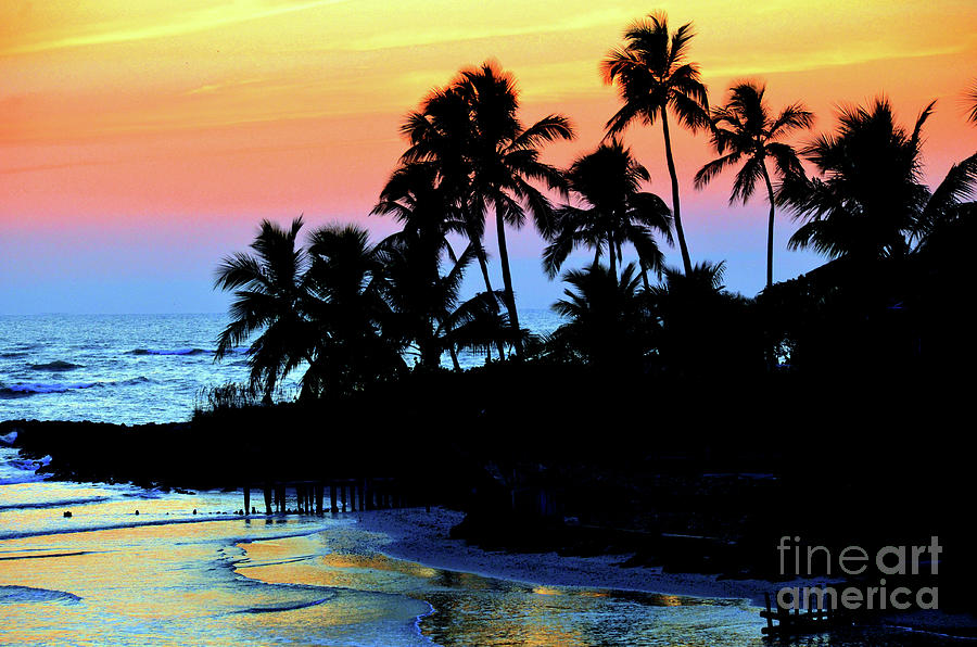 Tropical Florida Sunset Silouhette Photograph by Elaine Manley