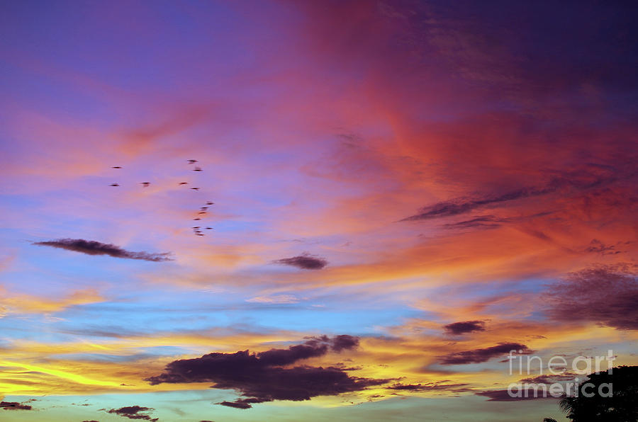 Tropical North Queensland Sunset Splendor  Photograph by Kerryn Madsen-Pietsch