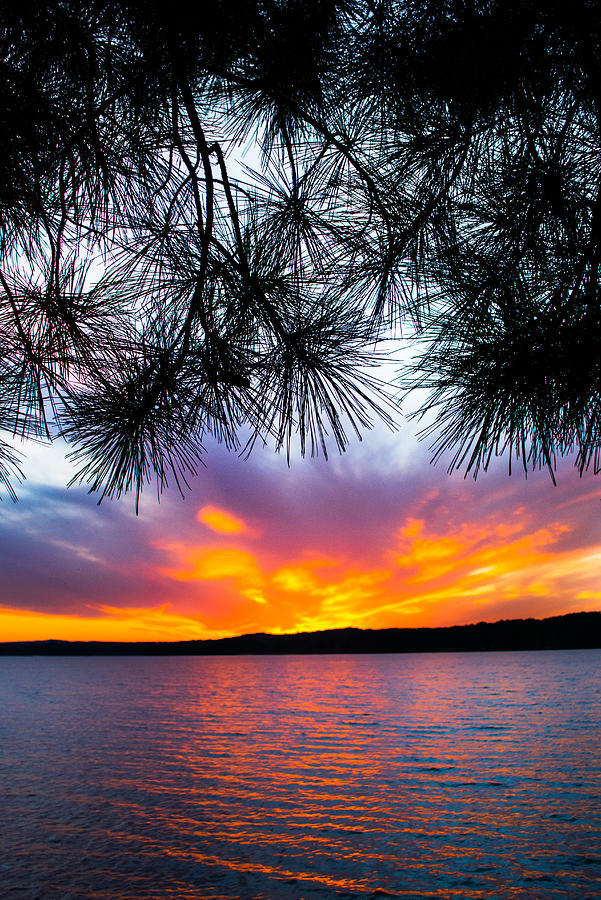 Sunset Photograph - Tropical Sunset Vertical by Parker Cunningham