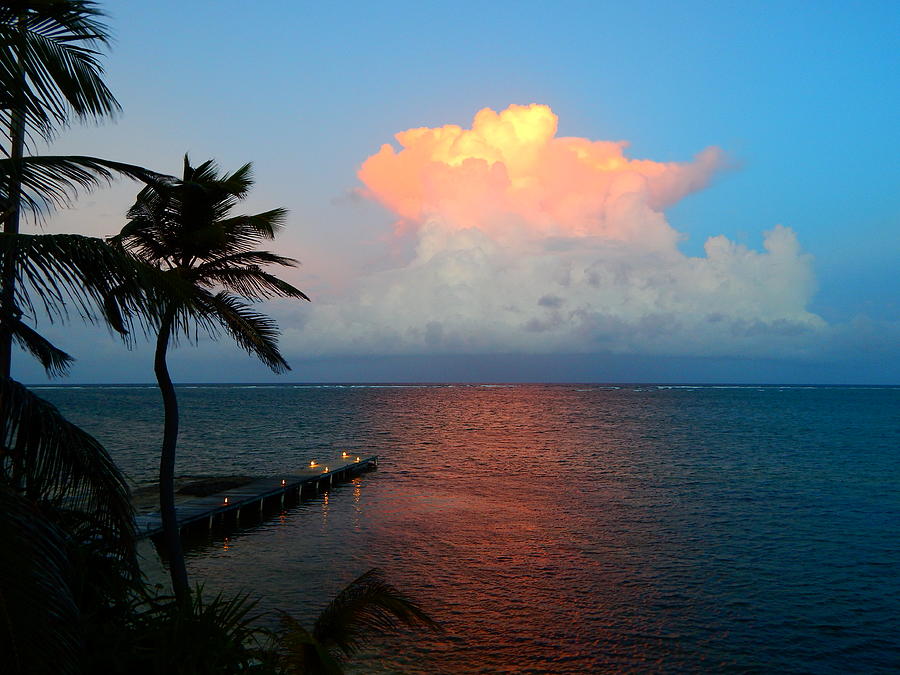Tropical Sunset Photograph by Virginia White
