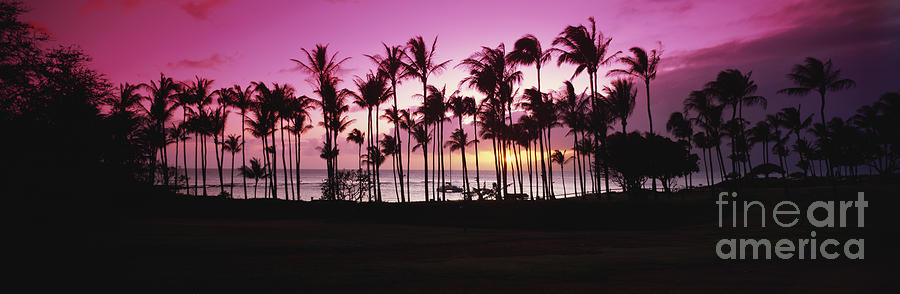 Tropical Sunset With Magenta Sky Photograph by Bill Schildge