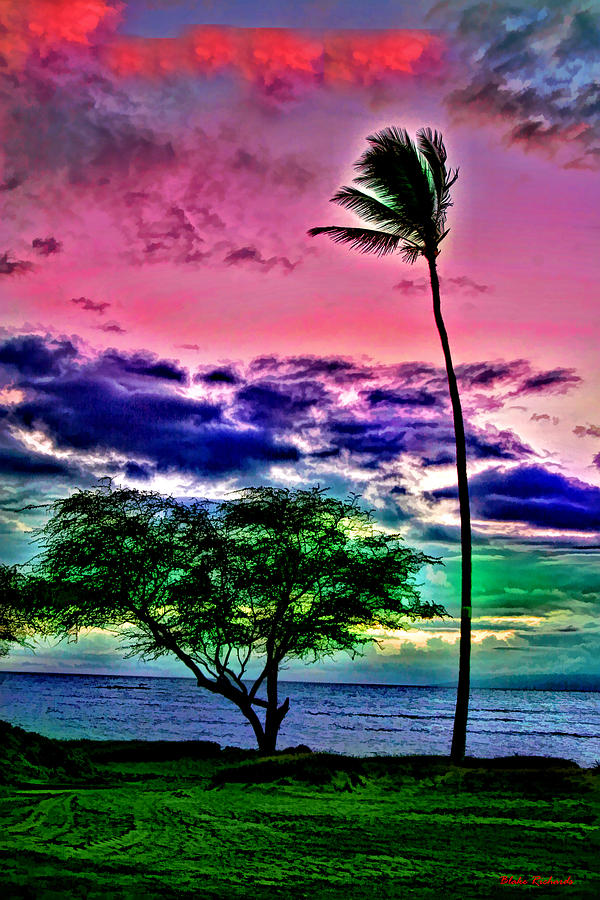 Tropical Trees Photograph by Blake Richards