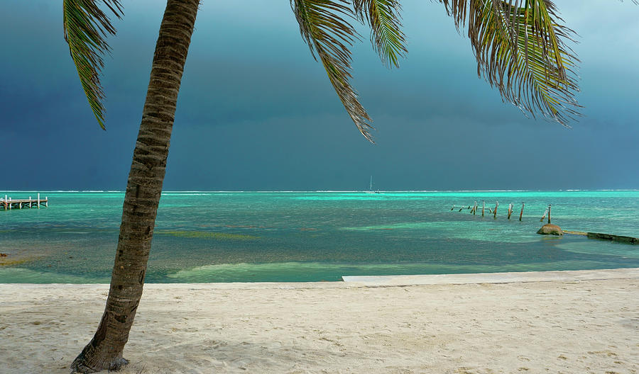 Tropical Turquoise Waters off Ambergris Caye, Belize Photograph by Waterdancer
