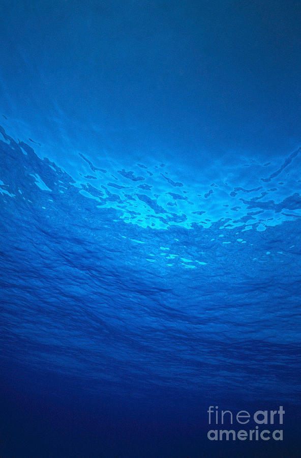 Tropical Water From Below Photograph by F Stuart Westmorland