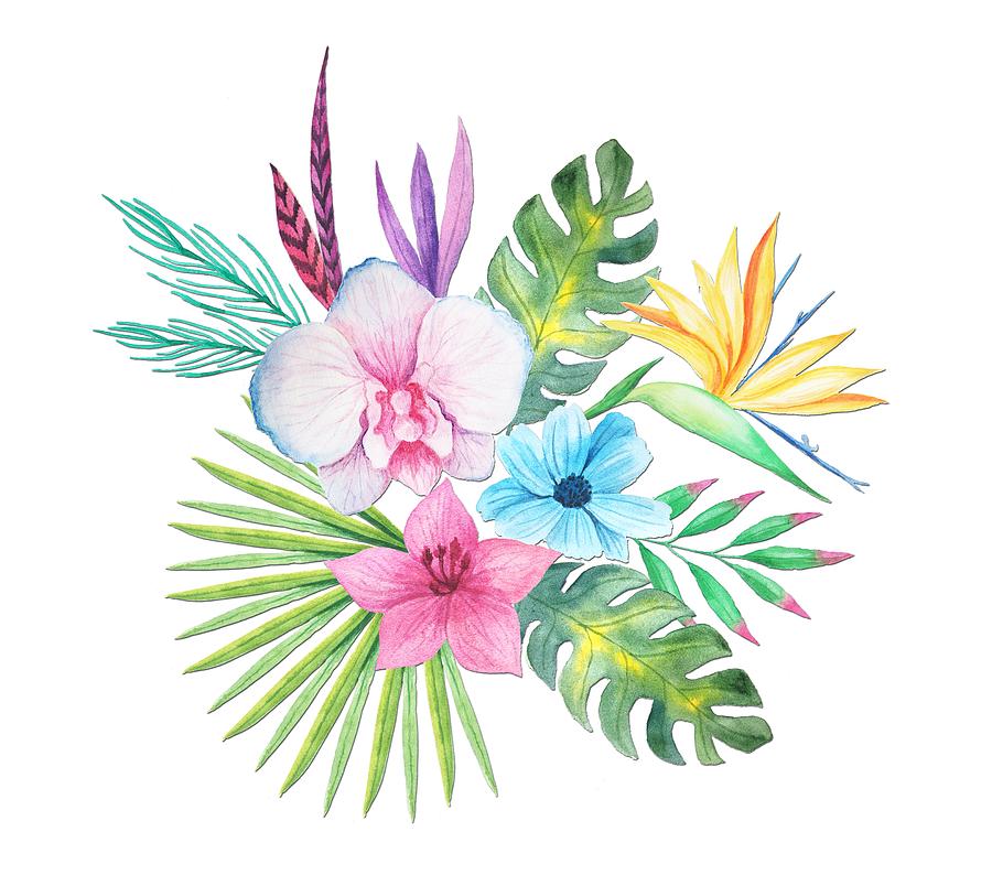 Orchid Painting - Tropical Watercolor Bouquet 3 by Elaine Plesser