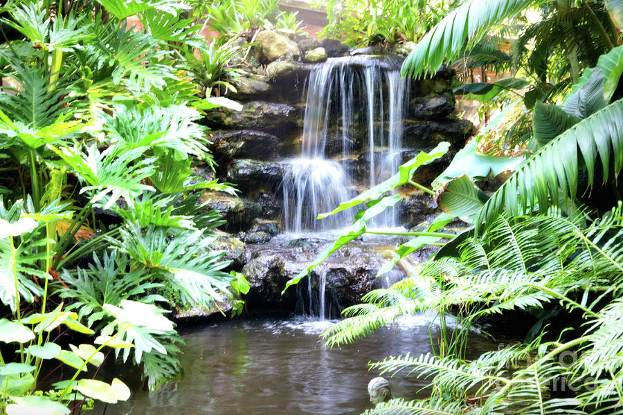 Tropical Waterfall Photograph by Carol Groenen - Fine Art America