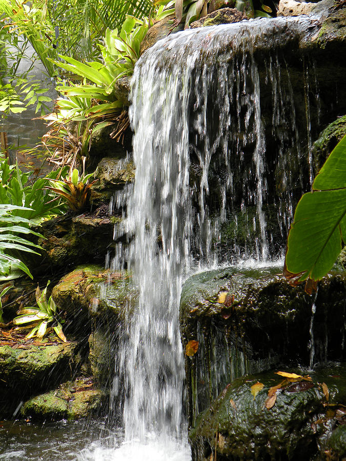 Tropical Waterfall Photograph by Rosalie Scanlon - Fine Art America