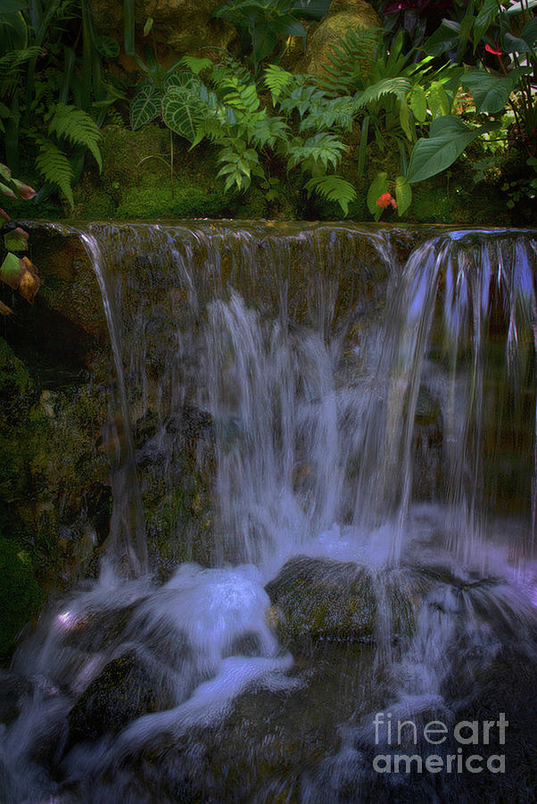 Tropical Waterfall Photograph by Skip Willits