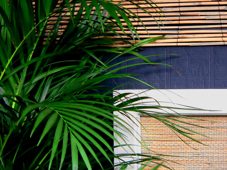 Tropical Window Photograph by Kathy K McClellan