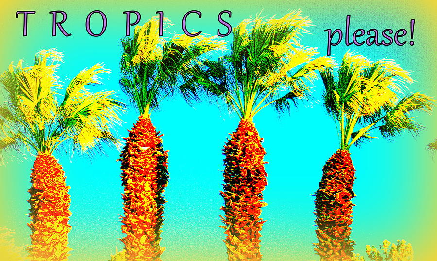 Tropics Please Photograph by Jacqueline Manos