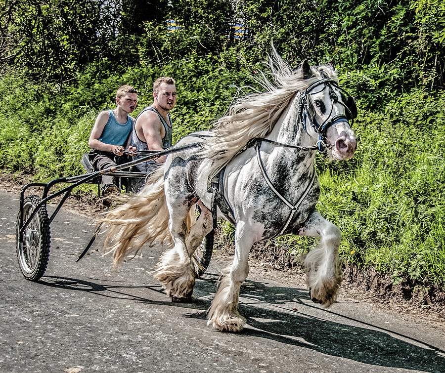 Trotting at Appleby Horse Fair Photograph by Brian Tarr