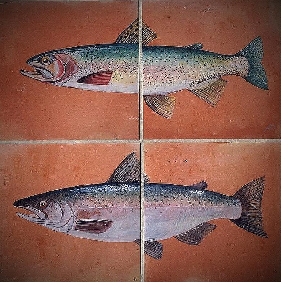 Trout And Salmon Ceramic Art by Andrew Drozdowicz