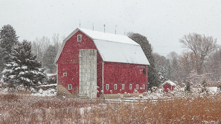 Barn Photograph - Dressed for Christmas by Rod Best