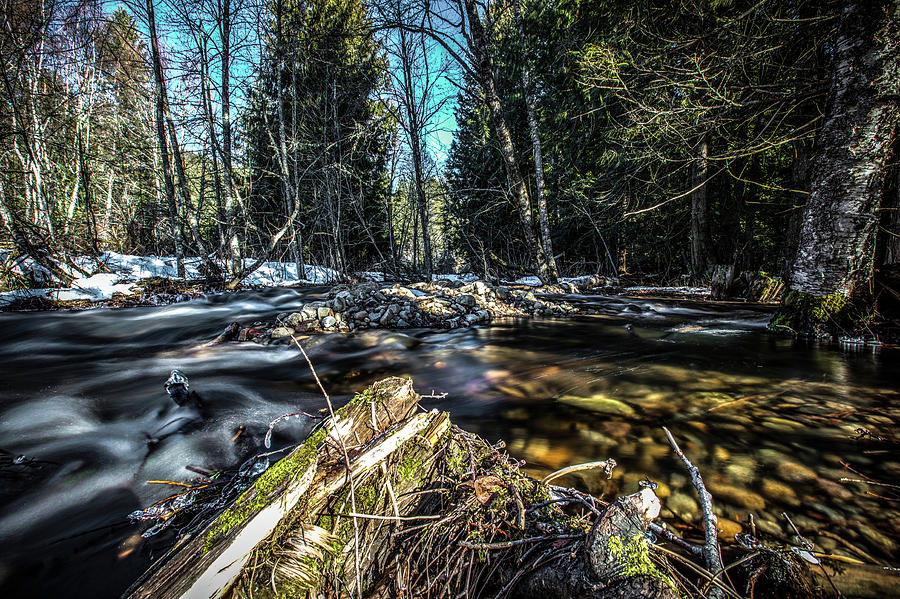 Trout Creek Flow Photograph