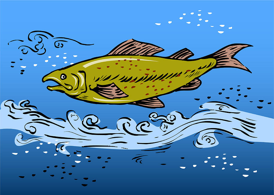 Trout Digital Art - Trout Fish Swimming Underwater by Aloysius Patrimonio