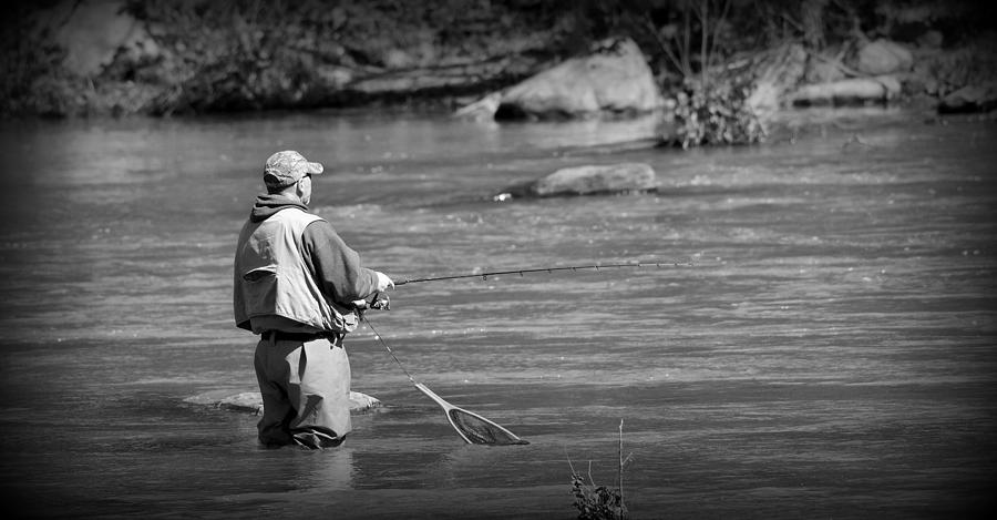 Tree Photograph - Trout Fishing 1 by Todd Hostetter