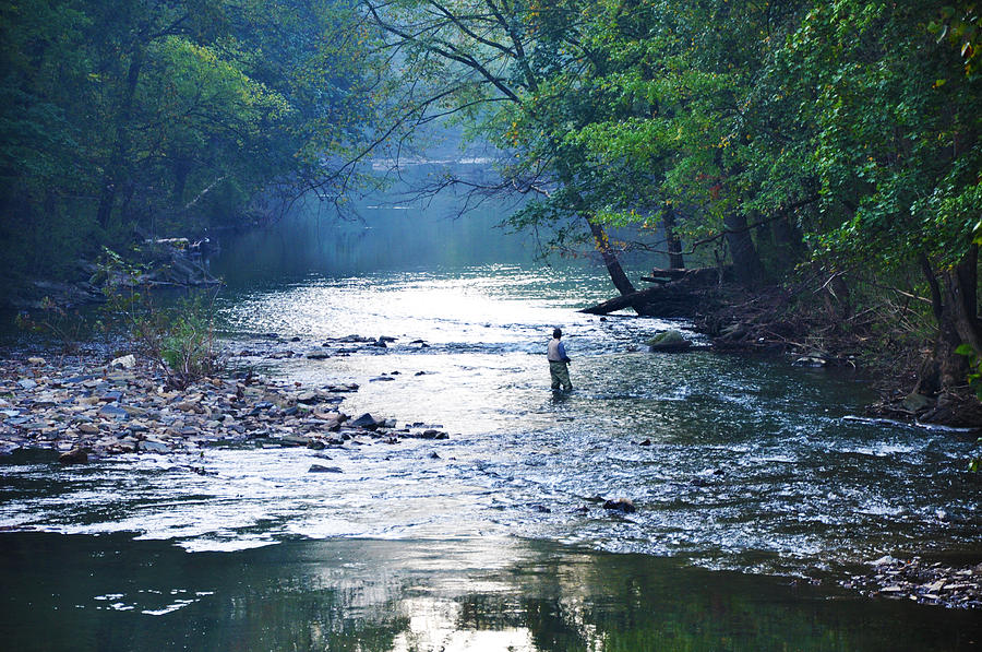 Trout Fishing in America Photograph by Bill Cannon