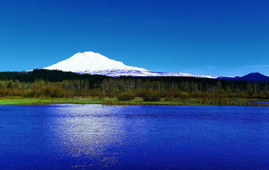 Trout Lake Foreground Mount Adams Photograph by Jeff Swan