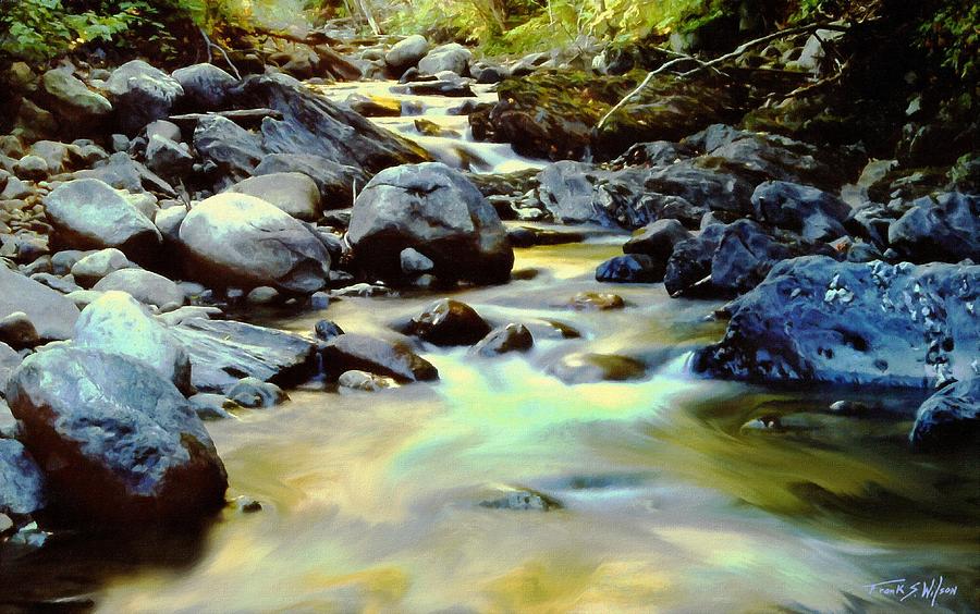 Trout Stream Photograph by Frank Wilson