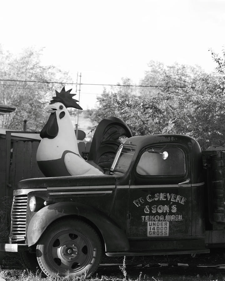 Black And White Photograph - Truck and Chicken Seligman AZ by Troy Montemayor