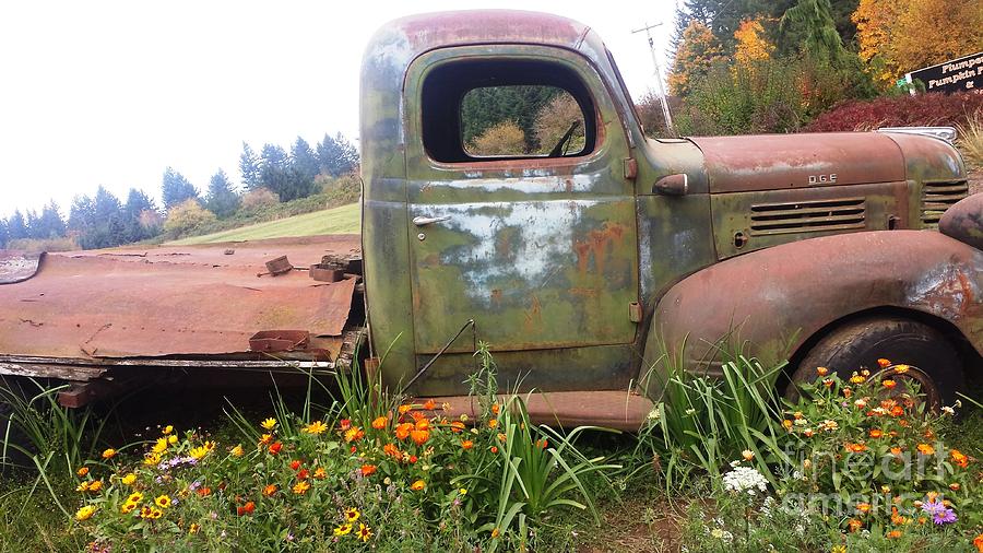 Truck and Wildflowers Photograph by Nick Gustafson