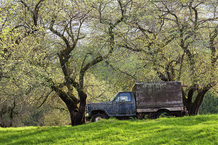 Truck In Spring Orchard Photograph