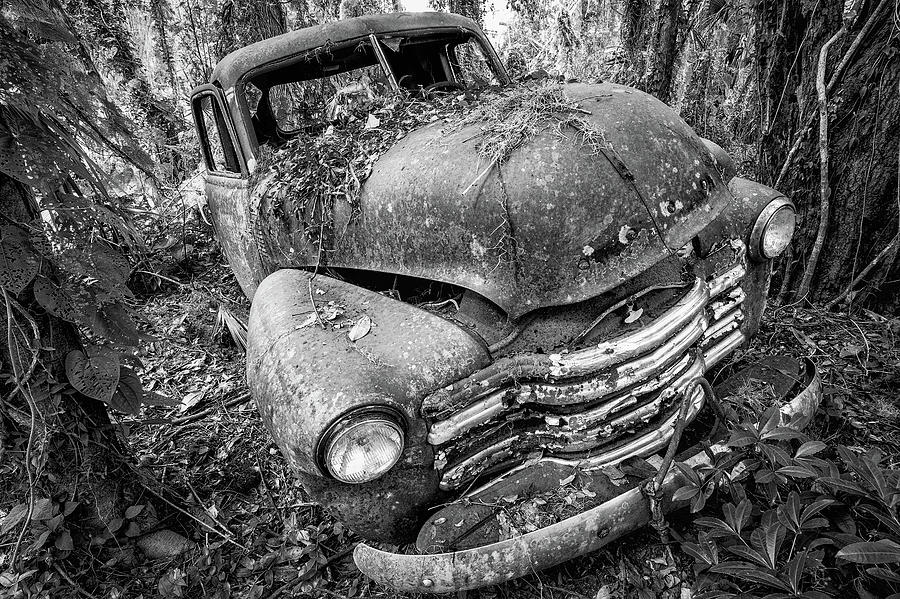Truck in the Woods, Micanopy, Florida Photograph by Dawna Moore Photography