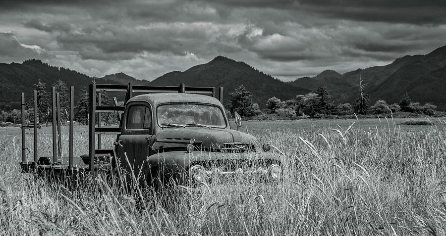 Truck in Weeds Photograph by Bill Posner