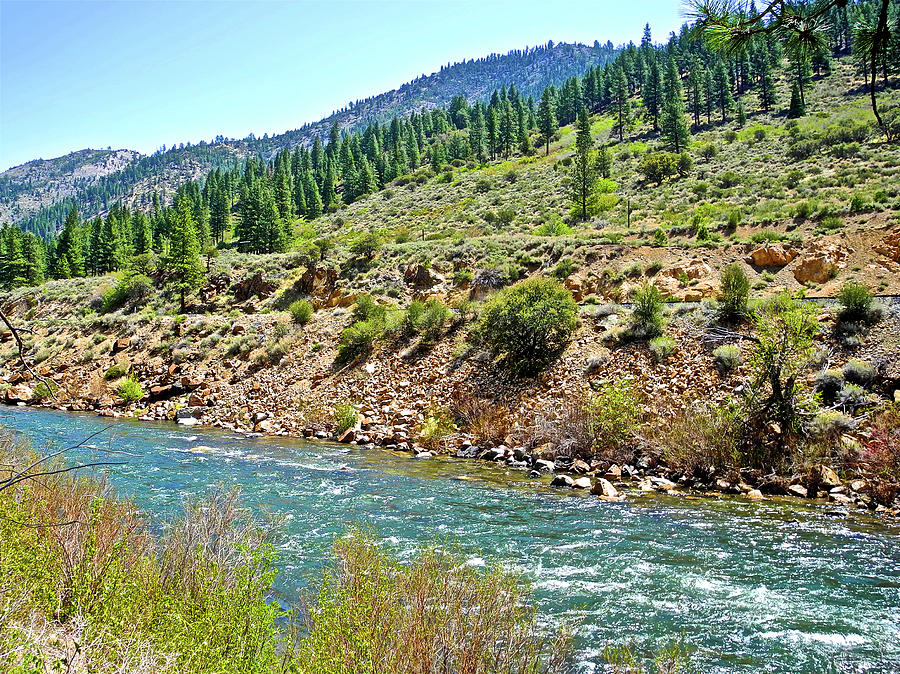 Truckee River in Northern California Photograph by Ruth Hager