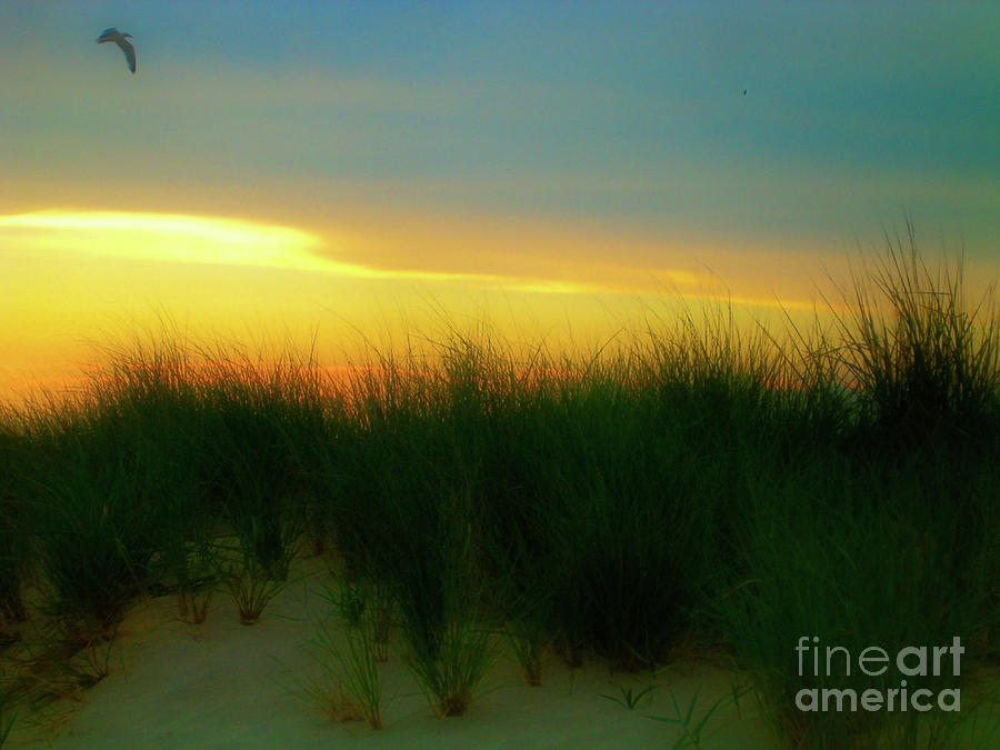 Sunset Photograph - True Colors by Karin Everhart