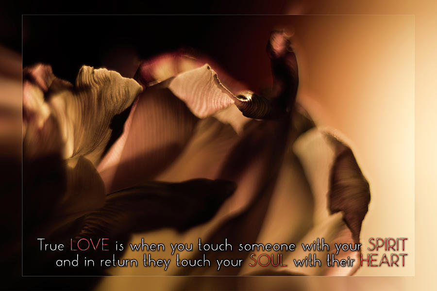 True Love Card Photograph by Wolfgang Stocker