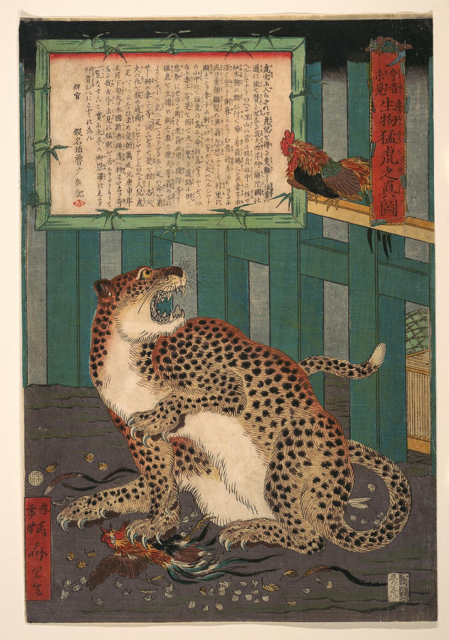 True Picture of a Live Wild Tiger Painting by Kawanabe Kyosai