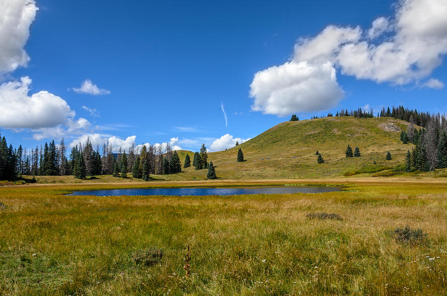 Trujillo Meadow - Colorado Photograph by Debra Martz
