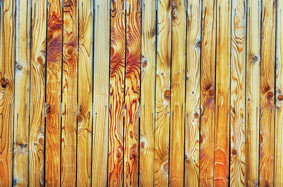 Truly, Beauty Is All Around Us, Even In A Yard Fence.  Photograph by Bijan Pirnia