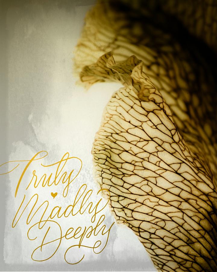 Truly Madly Deeply by Bobby Villapando Truly Madly Deeply by Bobby Villapando