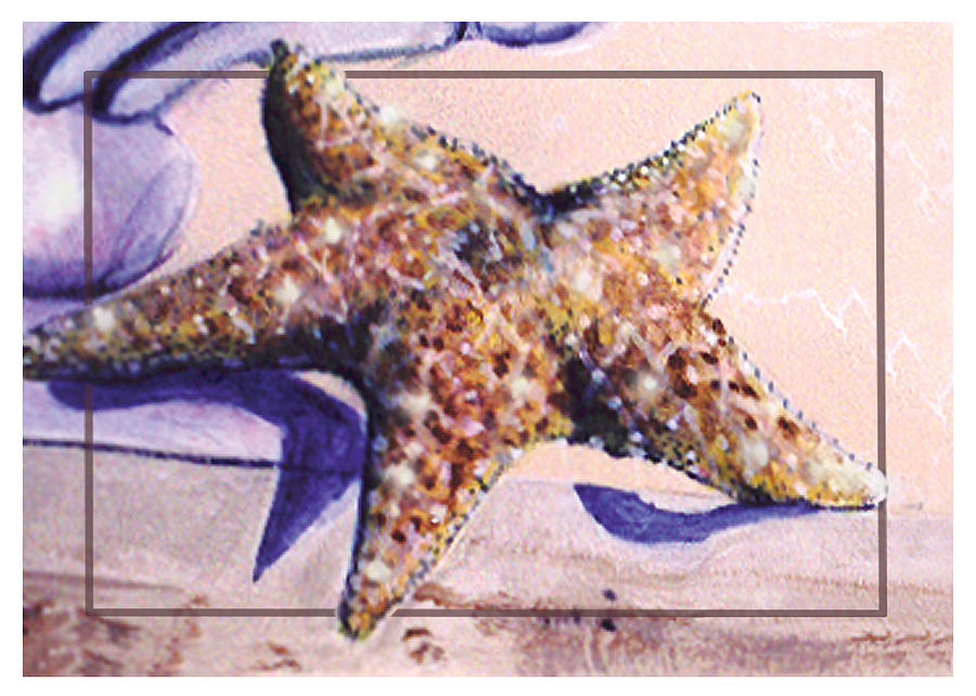Star Fish Painting - Trum Loeil.Star Fish by Thomas Lupari