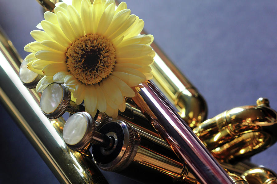 Trumpet and Flower Photograph by Angela Murdock