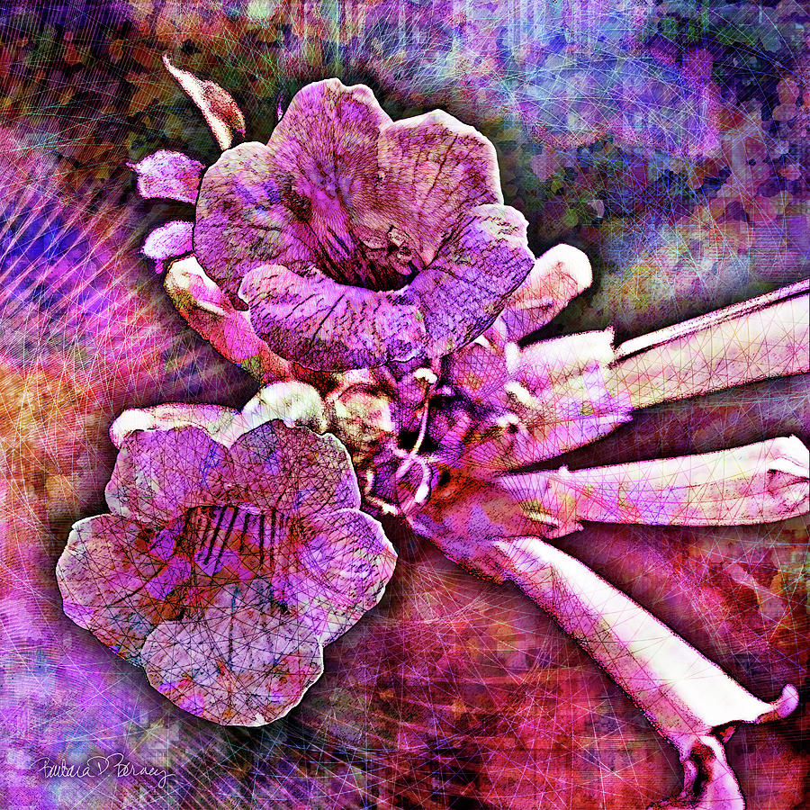 Trumpet flower Digital Art by Barbara Berney