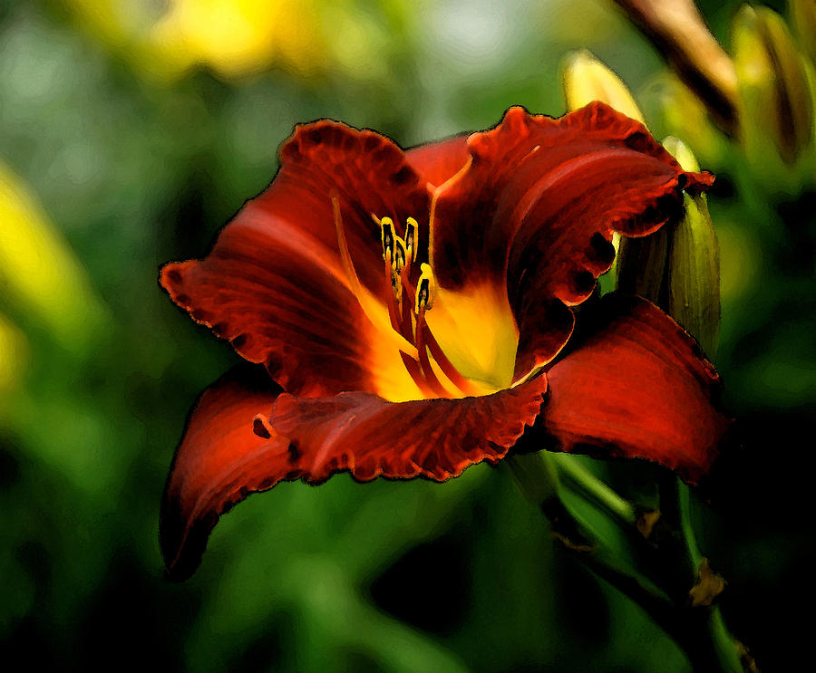 Lily Photograph - Trumpet by Lyle  Huisken