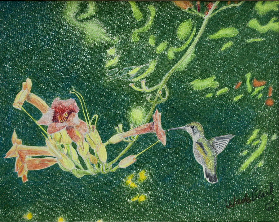 Trumpet vine rubby Painting by Wade Clark
