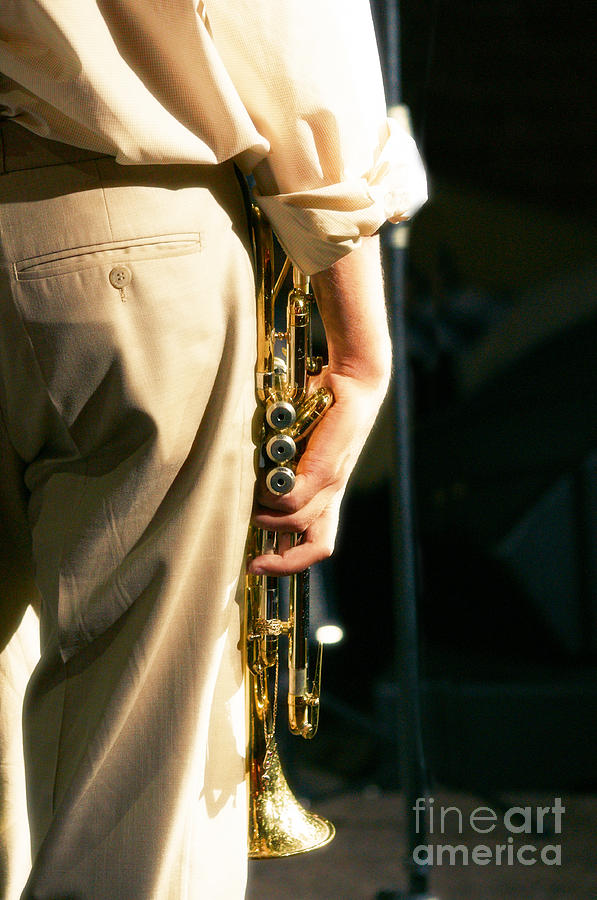 Trumpeter Photograph by Konstantin Sevostyanov