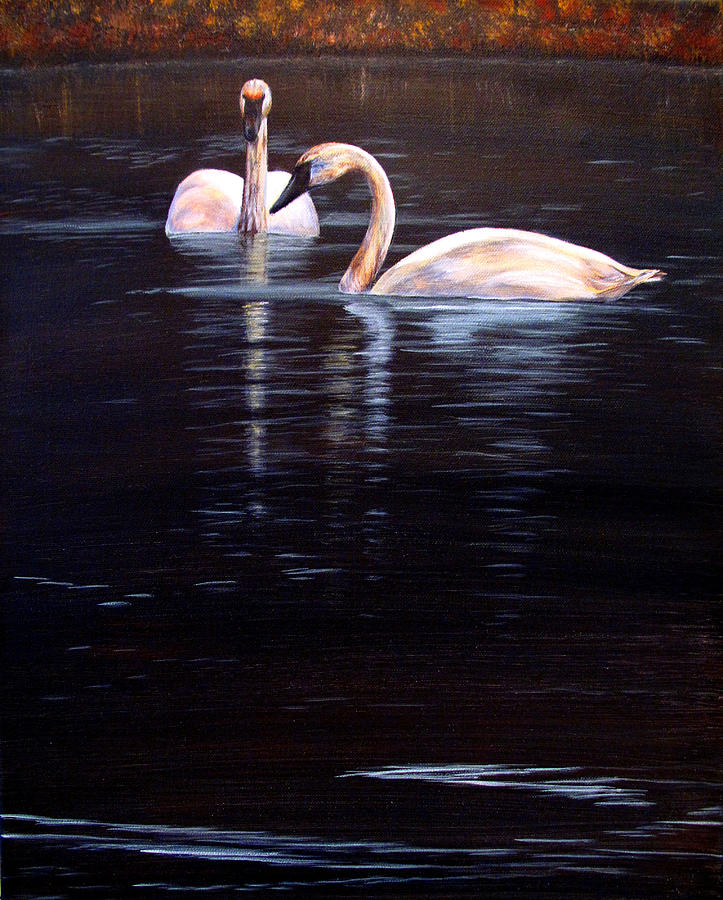 Trumpeter Swans Painting by Karen Peterson