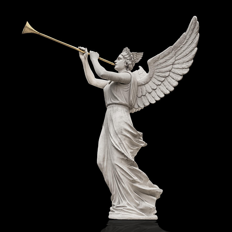 Trumpeting Angel Knockout Photograph by Gary Warnimont