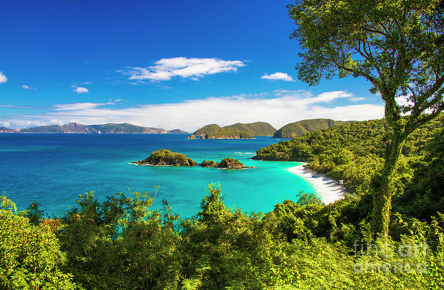 Trunk Bay Paradise Photograph by Kasia Bitner