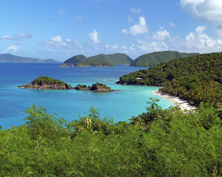 Trunk Bay 1 Photograph by Pauline Walsh Jacobson