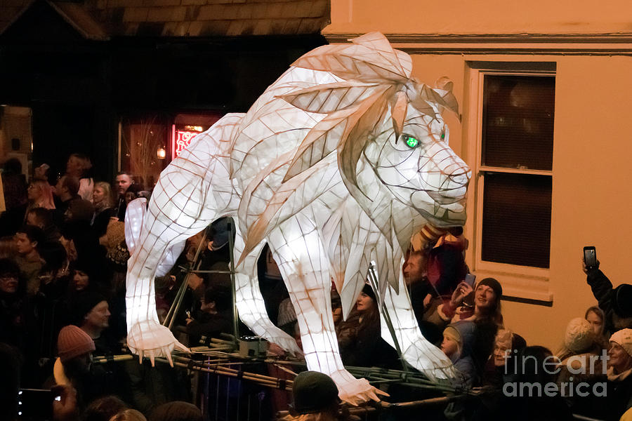Truro Lantern Parade Lion Photograph by Terri Waters