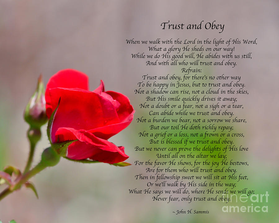 Trust and Obey Photograph by Kerri Farley