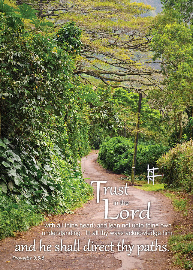 Trust in the Lord Photograph by Denise Bird