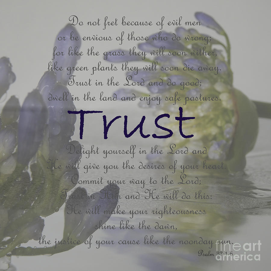 Trust in the Lord Photograph by Ella Kaye Dickey