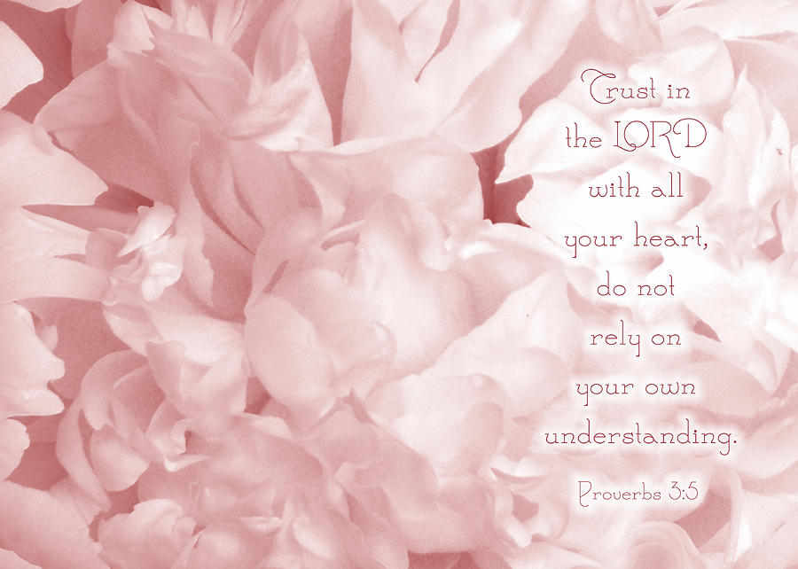 Trust In The Lord Proverbs Pink Peony Photograph By Denise Beverly 